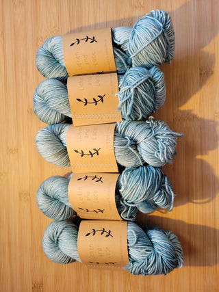 Lichen and Lace Superwash Merino Worsted Yarn Traveler & Haberdashery