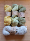 Botanical Fibres Northern Collection Sock Yarn Traveler & Haberdashery