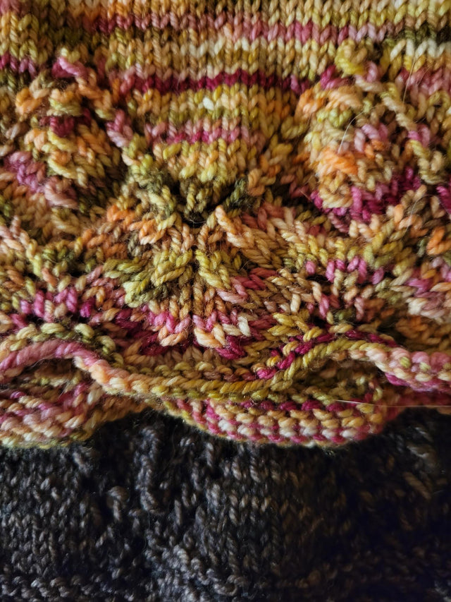 Lichen and Lace 80/20 Sock