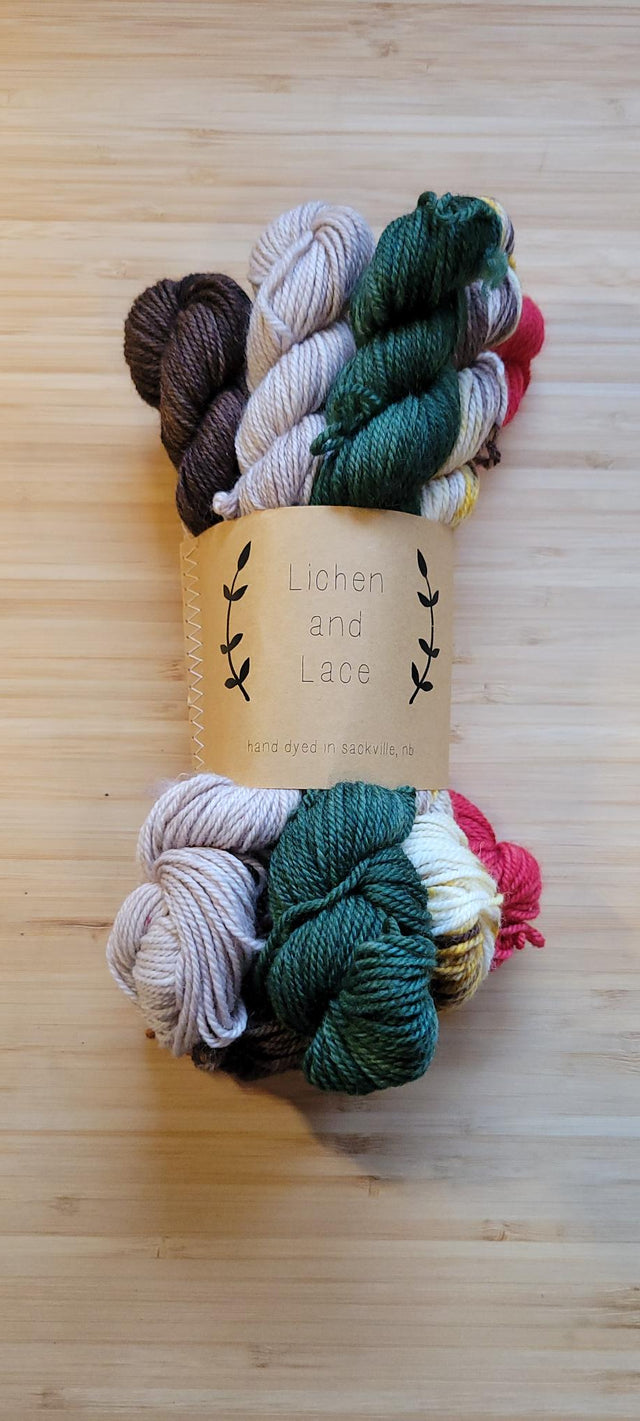 Lichen and Lace Sock Mini Set