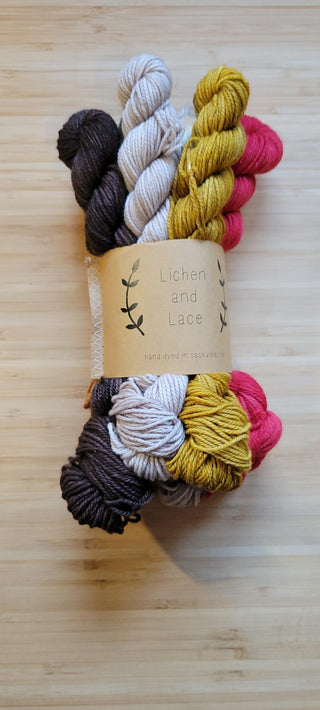 Lichen and Lace Sock Mini Fade Set