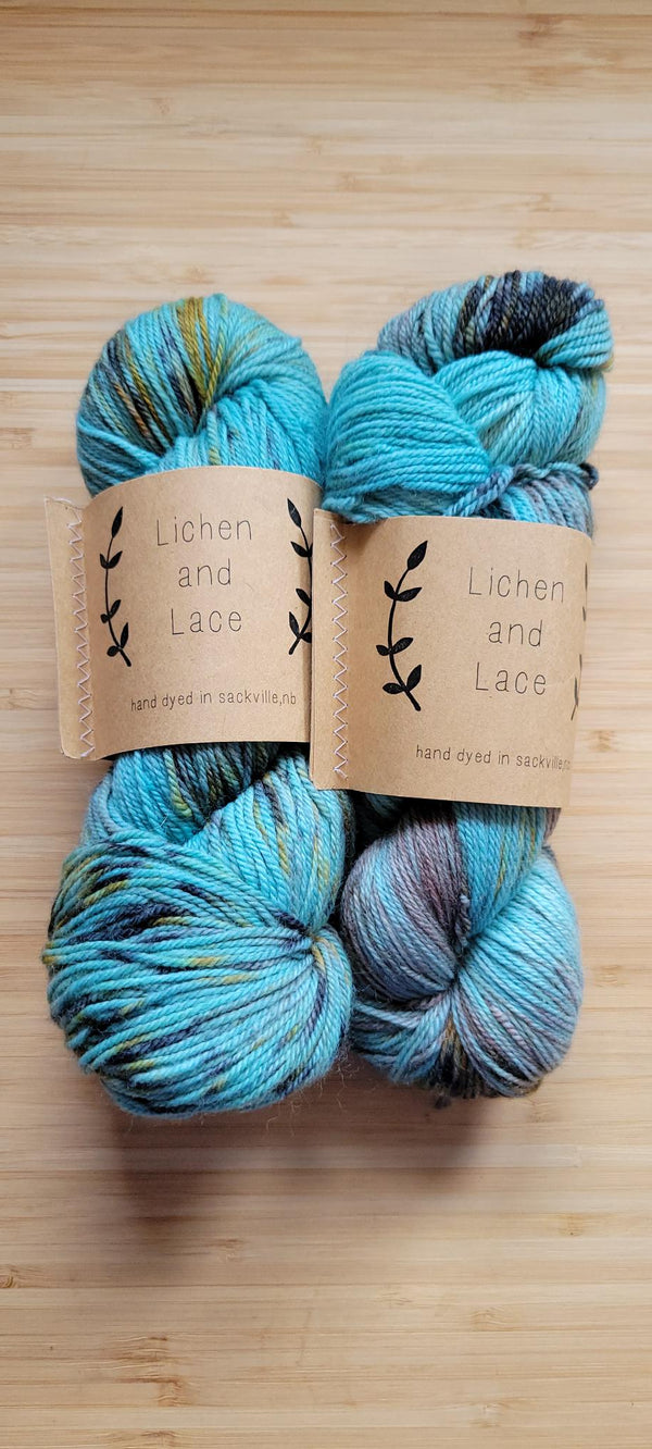 Lichen and Lace 80/20 Sock