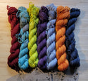 Lichen and Lace Sock Mini Fade Set