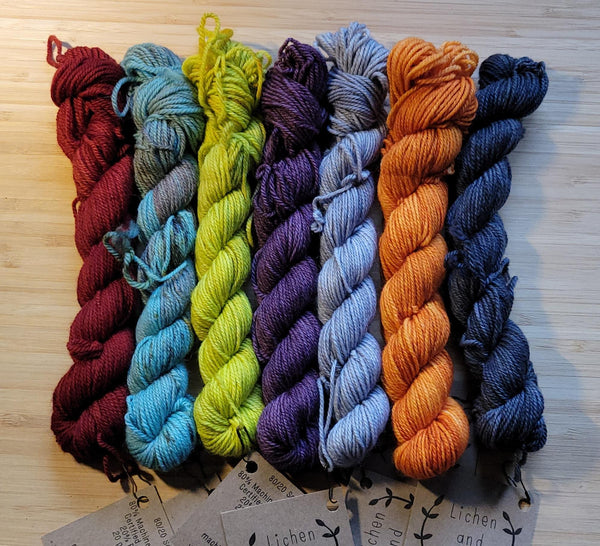 Lichen and Lace Sock Mini Fade Set