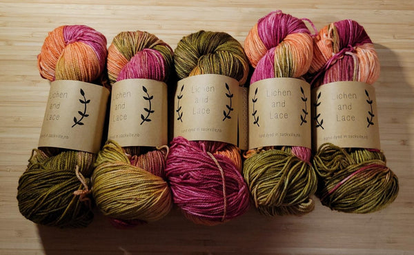 Lichen and Lace 80/20 Sock