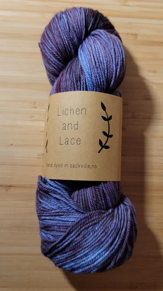 Lichen and Lace 80/20 Sock