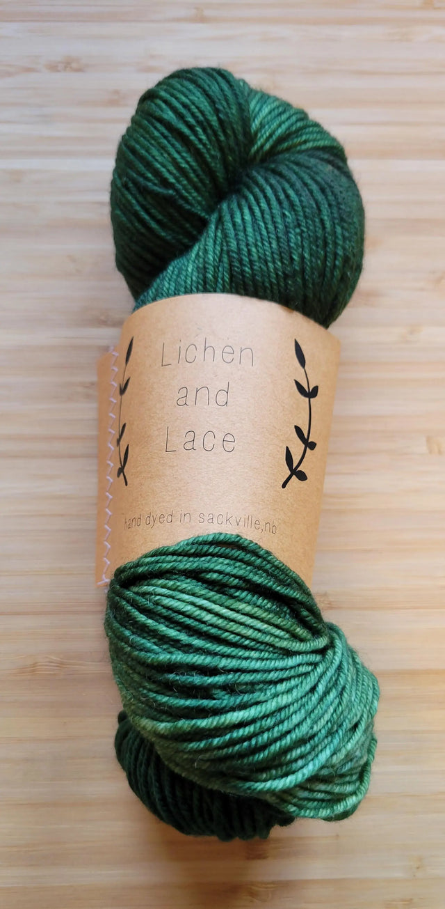 Lichen and Lace Superwash Merino Worsted Yarn Traveler & Haberdashery