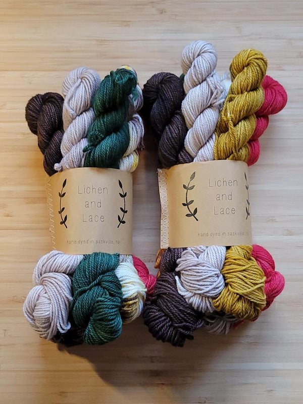 Lichen and Lace Sock Mini Fade Set