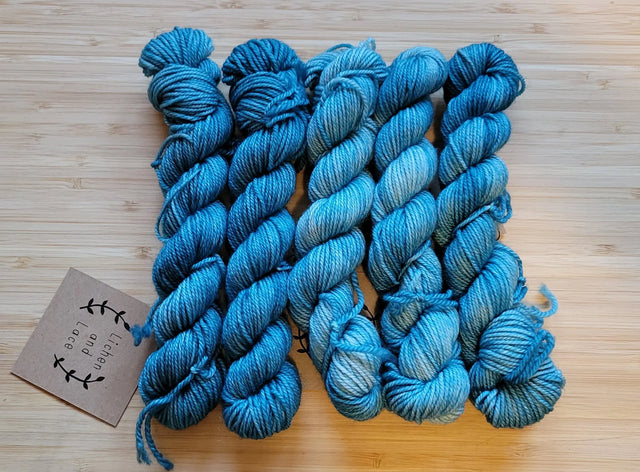 Lichen and Lace 80/20 Sock Mini Yarn Traveler & Haberdashery