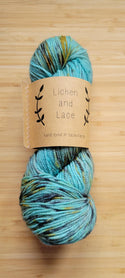 Lichen and Lace 80/20 Sock