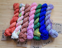 Lichen and Lace Sock Mini Set